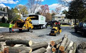 Leaf Removal in Hopewell, VA