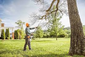 Best Lot and Land Clearing  in Hopewell, VA