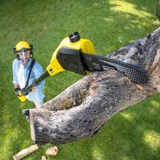 Best Lawn Drainage Solutions  in Hopewell, VA