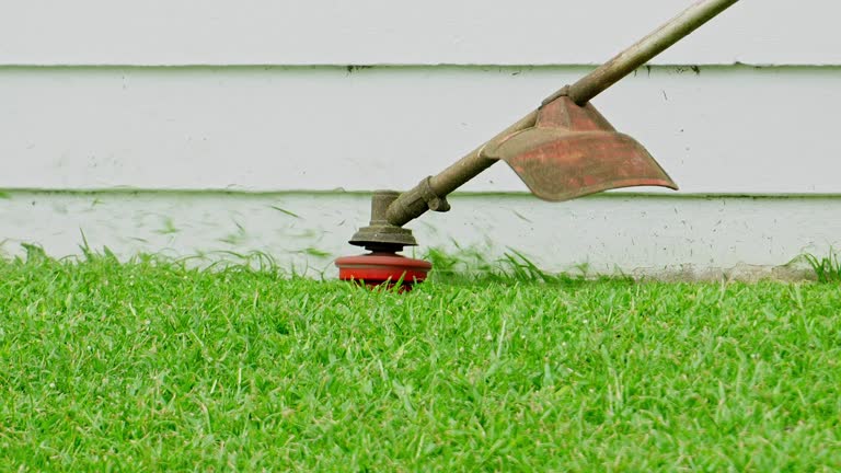 Best Grass Overseeding  in Hopewell, VA