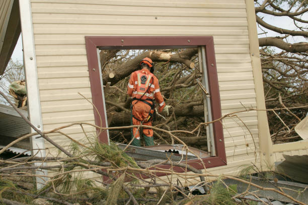 Best Tree Health Inspection  in Hopewell, VA