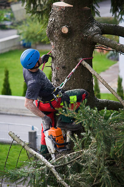 Best Lawn Watering Services  in Hopewell, VA