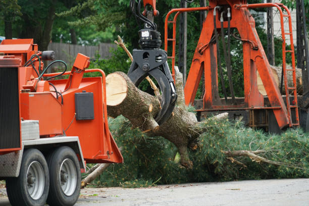 Lawn Watering Services in Hopewell, VA