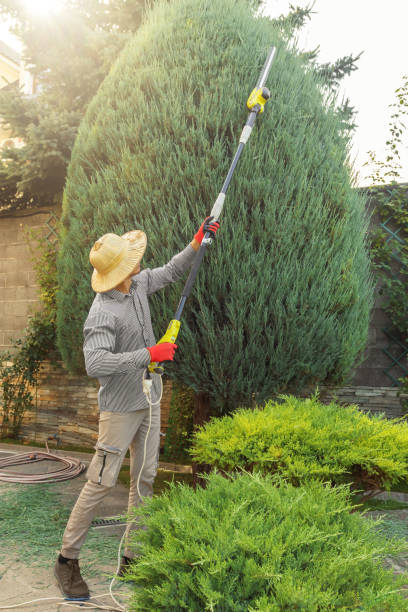 Best Hedge Trimming  in Hopewell, VA